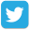Twitter icon